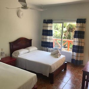Habitación Estándar con 2 Camas Individuales